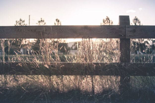 nick-tiemeyer-109666-unsplash