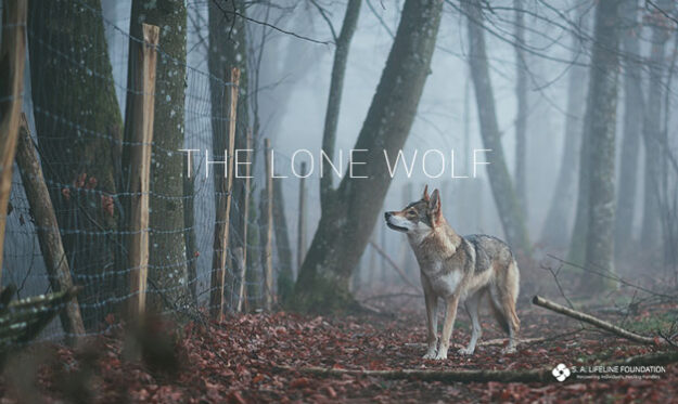the-lone-wolf