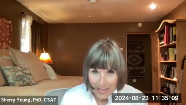 Dr. Sherry Young: How We See Addiction