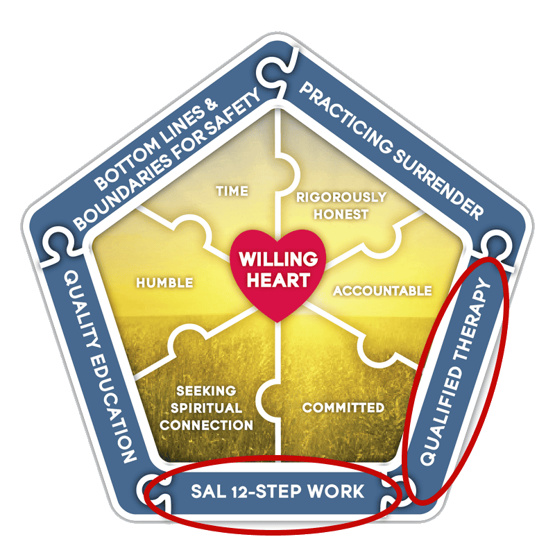 The recovery puzzle — therapy and the 12-Steps