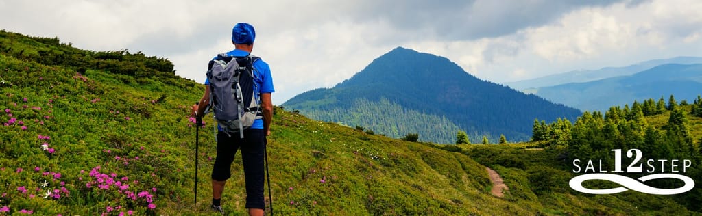 A hiker with a backpack and trekking poles looks out over green mountains.
